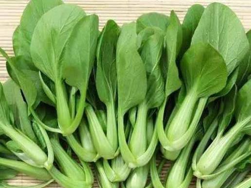 Sayur  hijau